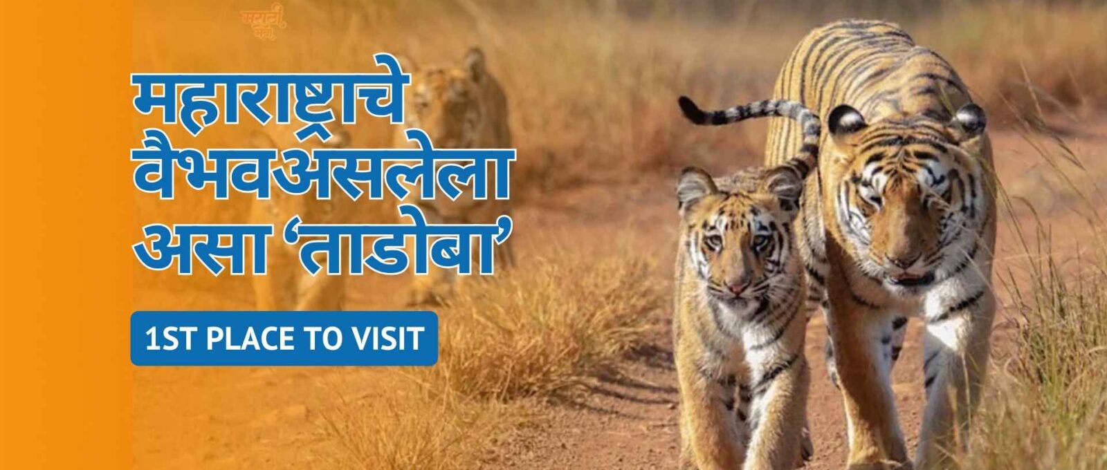 1st Place to Visit,